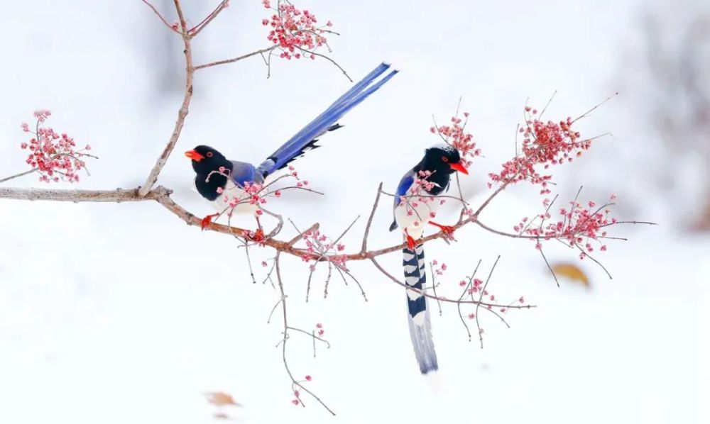 天光云影|光影中国8月10日图片精选