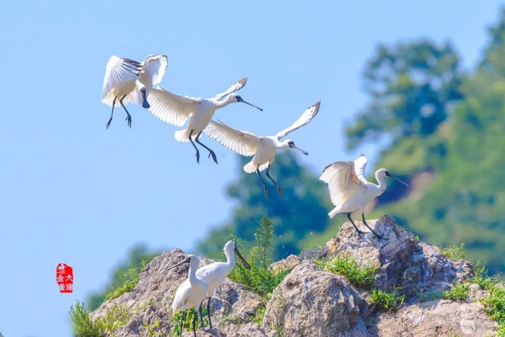 天光云影|光影中国8月10日图片精选