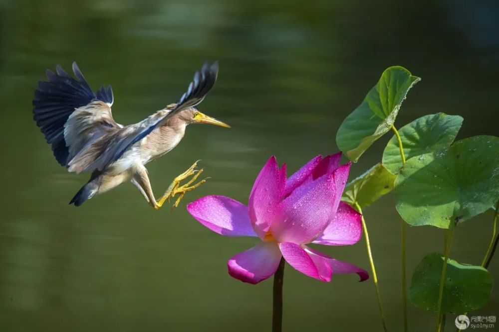 天光云影|光影中国8月10日图片精选