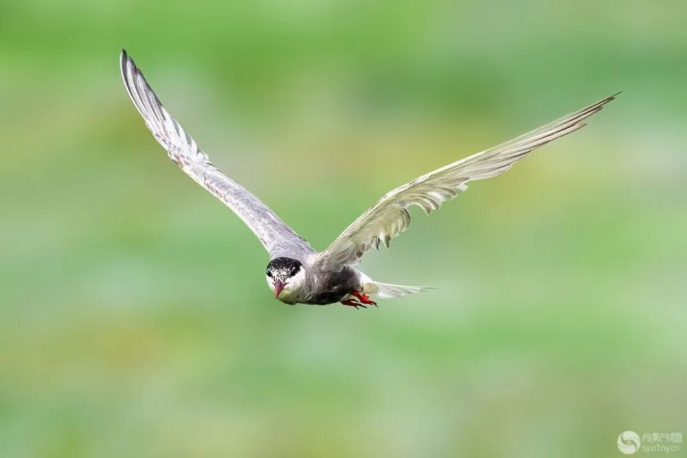 天光云影|光影中国8月10日图片精选