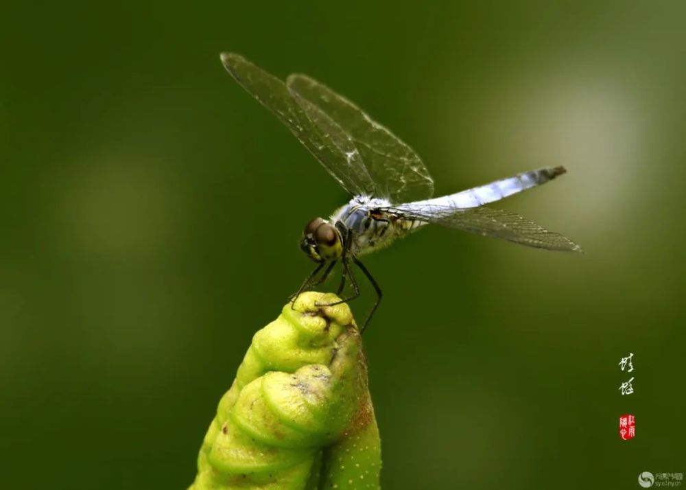 天光云影|光影中国8月10日图片精选