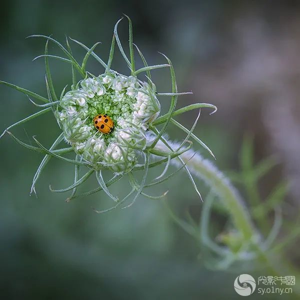 天光云影|光影中国8月10日图片精选