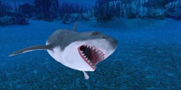 鲨鱼|活了4亿年，鲨鱼开始“功能性灭绝”，生物学家感到担忧