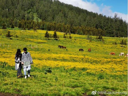 郭碧婷|向佐郭碧婷感情破裂？向佐忽删官宣怀孕动态，向太已半月未互动