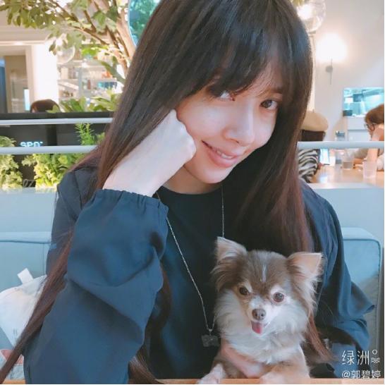 郭碧婷|向佐郭碧婷感情破裂？向佐忽删官宣怀孕动态，向太已半月未互动