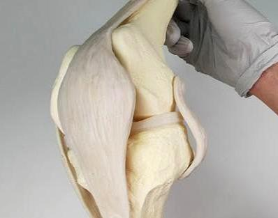 膝关节|半月板撕裂术后复查核磁，为何还能看见“损伤信号”？医生告诉您