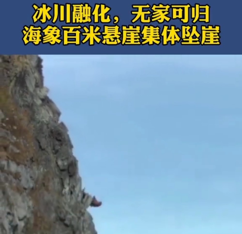 北极地区|加拿大最后一个北极冰架坍塌，大自然开始了一场反噬76亿人的清算？