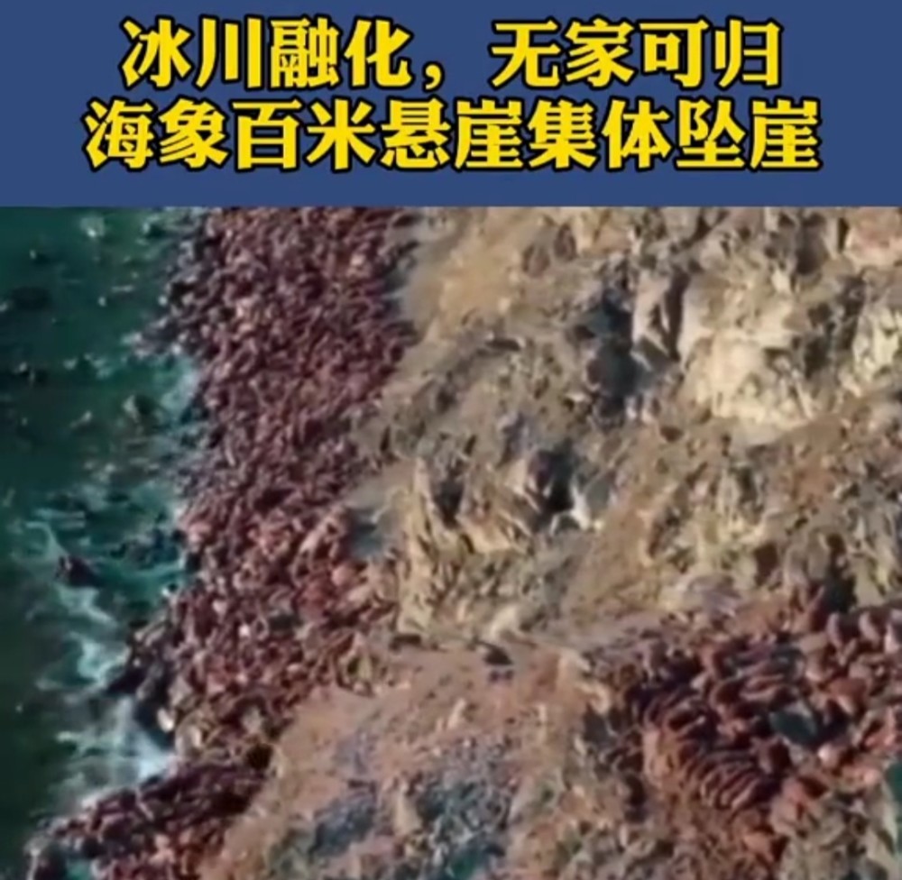 北极地区|加拿大最后一个北极冰架坍塌，大自然开始了一场反噬76亿人的清算？