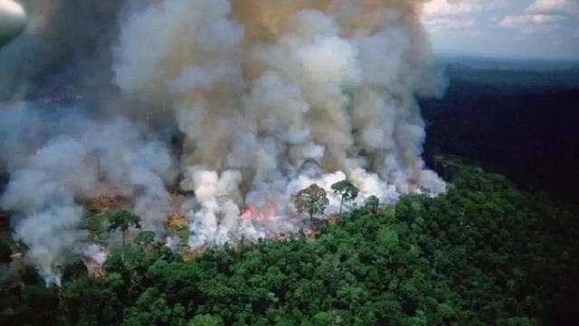 北极地区|加拿大最后一个北极冰架坍塌，大自然开始了一场反噬76亿人的清算？