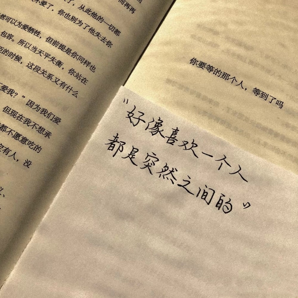 溫柔文案背景圖/希望你永遠都不缺從頭再來的勇氣