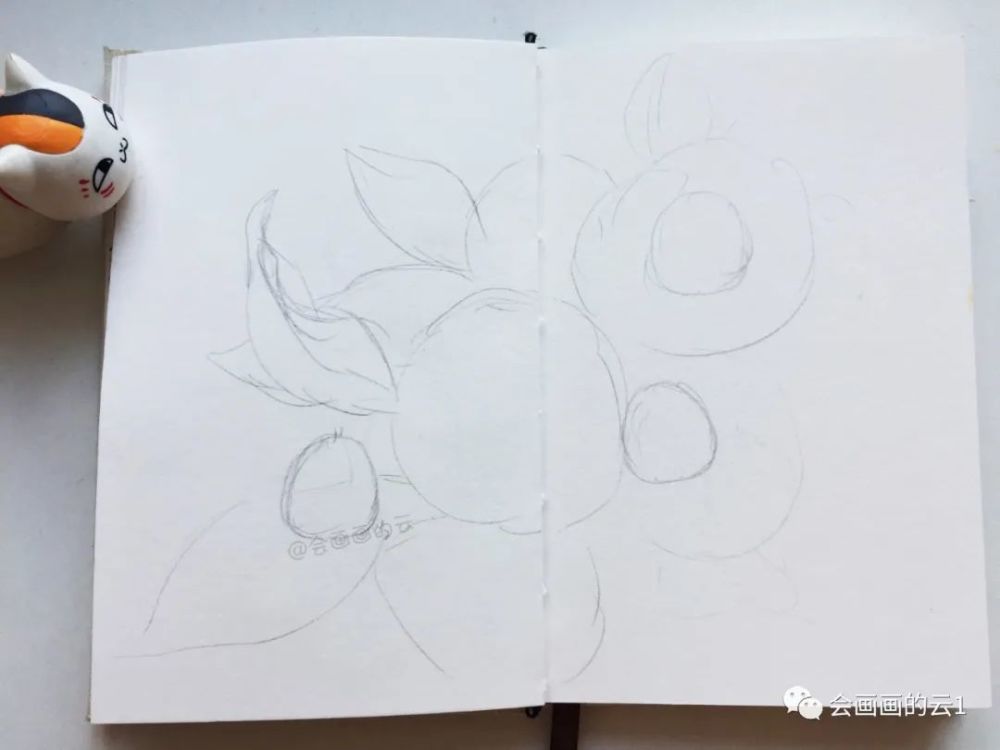 针管笔|没想到针管笔和水彩可以这么好看！手绘过程图分享