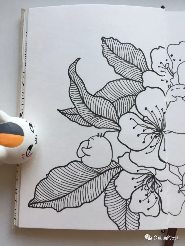针管笔|没想到针管笔和水彩可以这么好看！手绘过程图分享