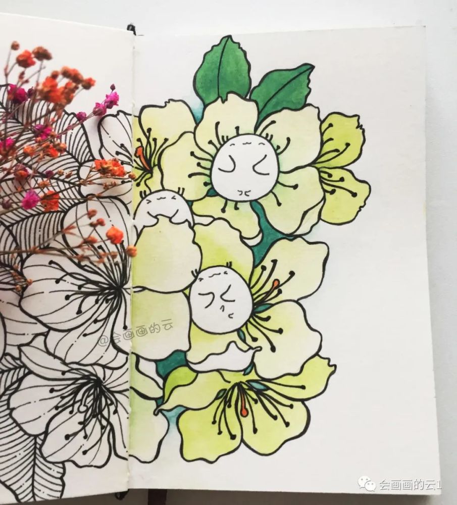 针管笔|没想到针管笔和水彩可以这么好看！手绘过程图分享