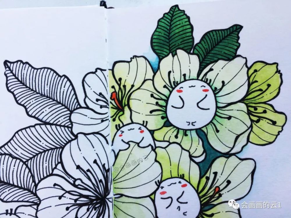 针管笔|没想到针管笔和水彩可以这么好看！手绘过程图分享