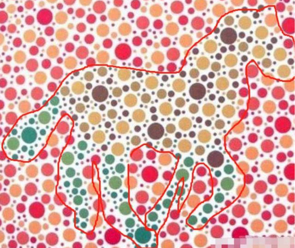 老夫|三张色盲测试图，第三张是考飞行员的，看出来算你厉害