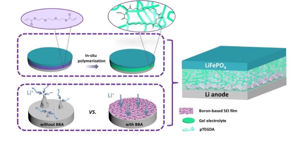 原位聚合硼掺杂高性能凝胶电解质