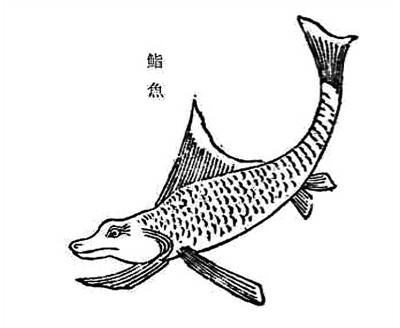 长着狗头的鱼,两个身子的蛇,眼睛长在腋下的怪物