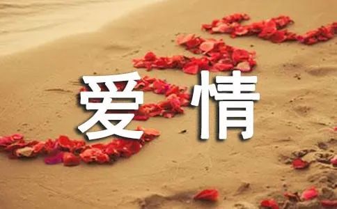人生,爱情感悟类经典语录句子