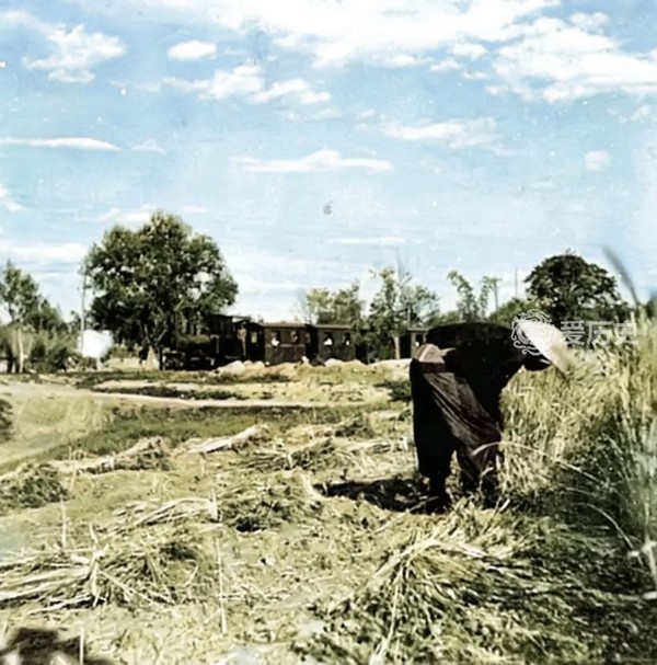 老北京|老北京曾经跑客运的轻便火车 跟现在游乐园里差不多 全程五英里