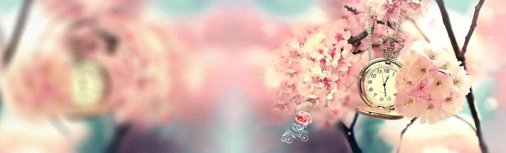 "apple of love"是爱情之果?又错了!