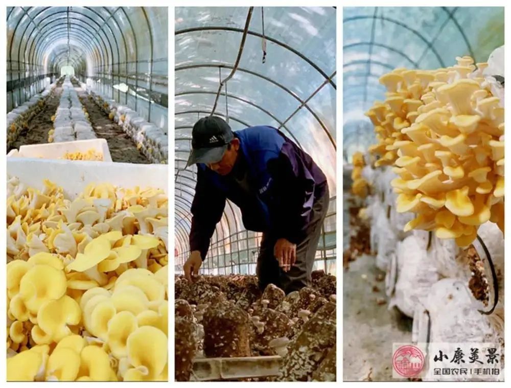 美图|抬起你的小手，为北京的美图投上一票吧！