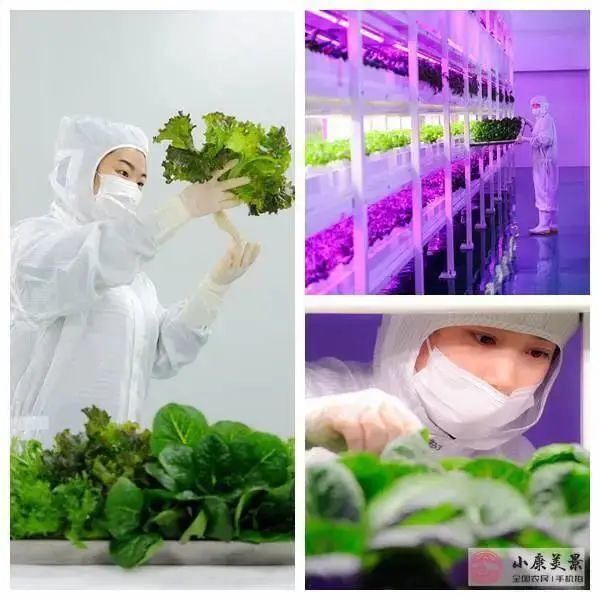 美图|抬起你的小手，为北京的美图投上一票吧！