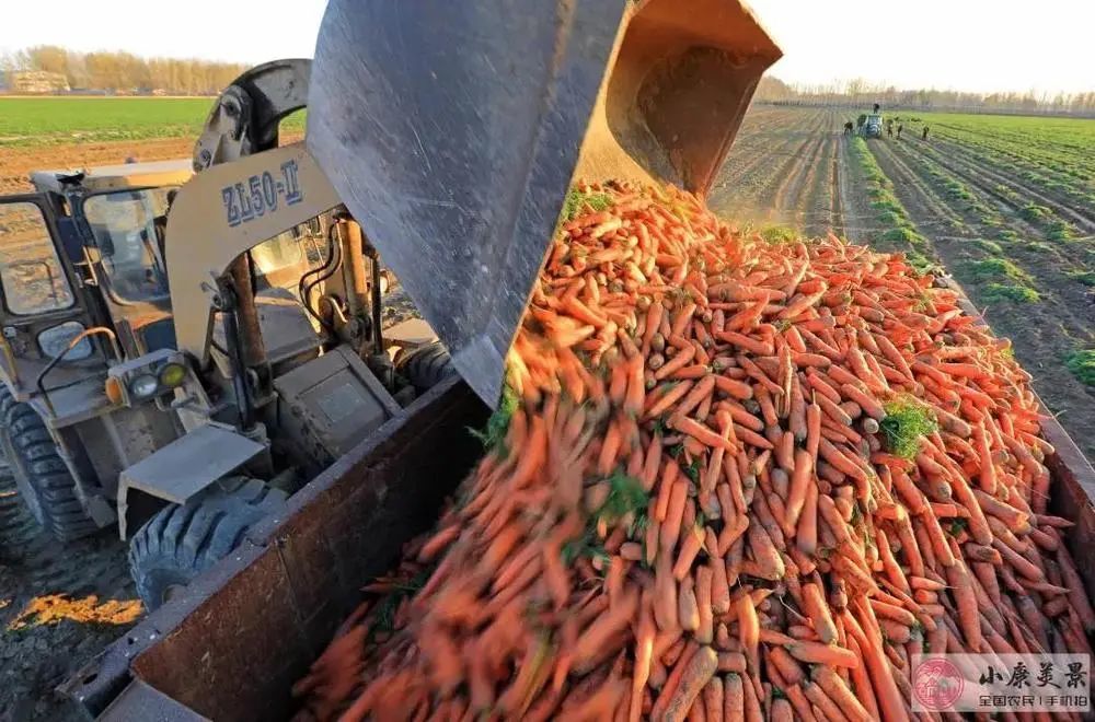 美图|抬起你的小手，为北京的美图投上一票吧！