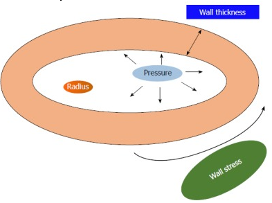 左心室肥厚|心脏超声报了“左心室肥厚”，严重吗？给你一份详细的评估流程