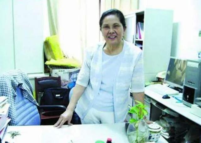 李爱珍|中国女科学家李爱珍：4次申请中科院士被拒，却只1次就成美国院士