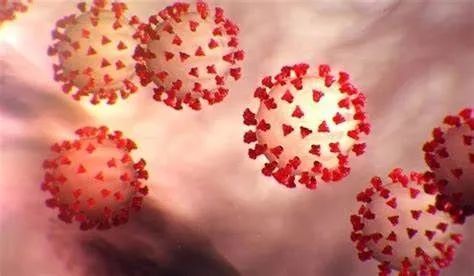 新冠病毒|Cell：清华大学和浙江大学联手揭示新冠病毒的分子结构