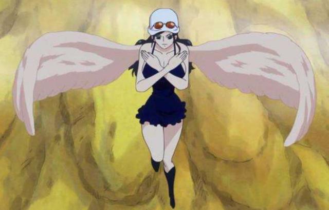 海贼王中能够飞翔的7颗超人系恶魔果实其中4颗都与重力有关