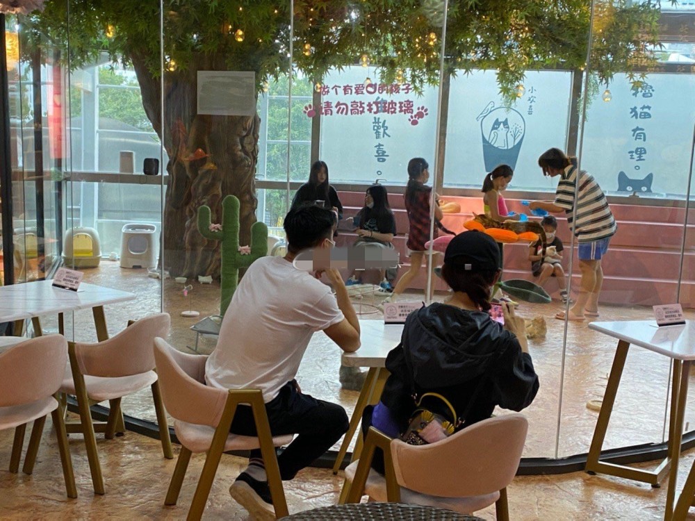 蔡少芬|蔡少芬夫妇带孩子到乐园玩，被拍到私下相处细节，当众拥抱太恩爱