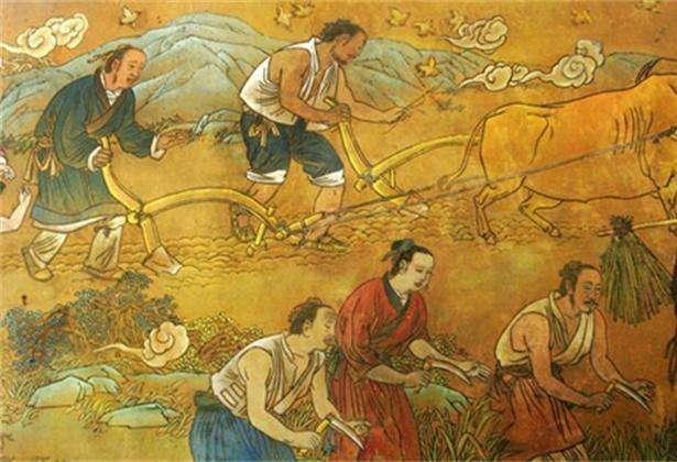菲律宾面积人口_这四个小岛,人口总数比美国还多