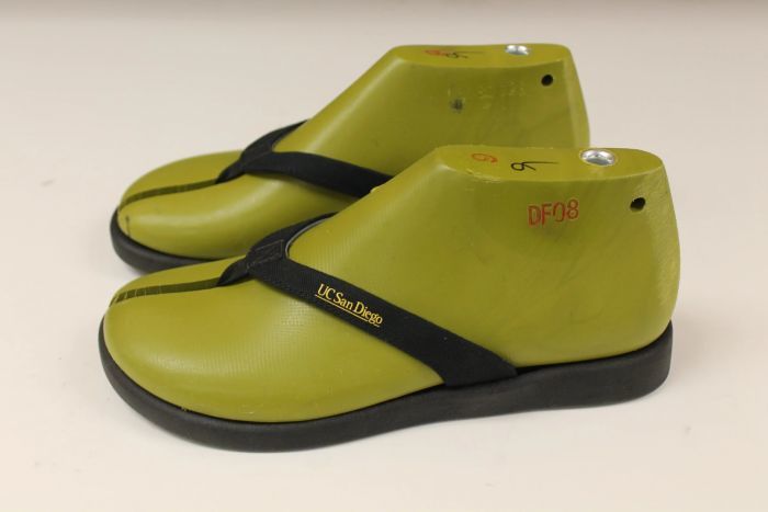 人字拖|基于藻类打造：科学家展示能在16周内降解的人字拖