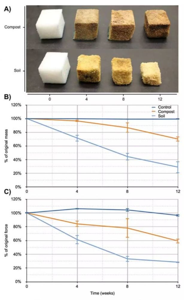 人字拖|基于藻类打造：科学家展示能在16周内降解的人字拖