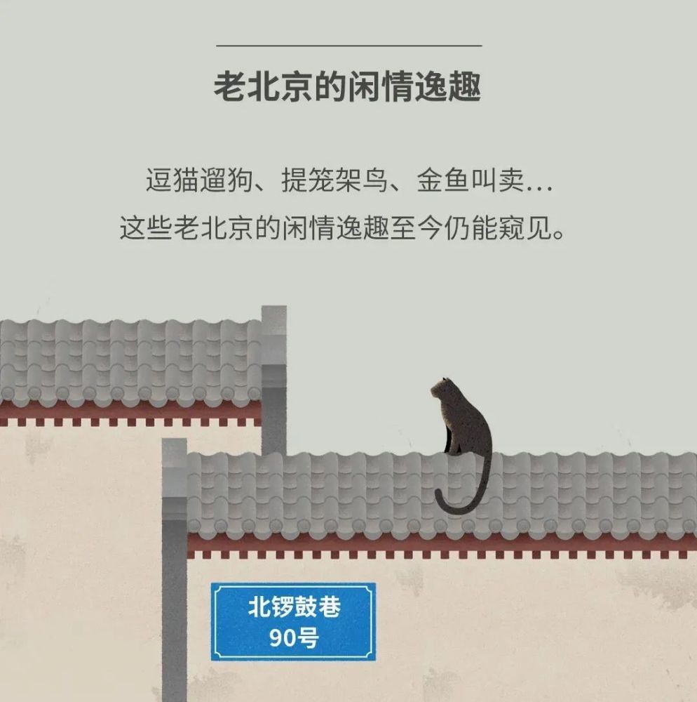 北京|北京城市自然生灵