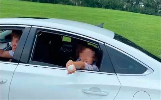 北京野生动物园|不能忍！北京野生动物园的天鹅蛋被偷，偷蛋者反而出口谩骂？