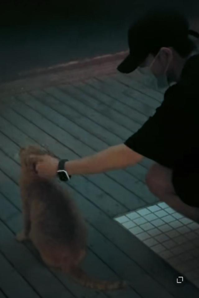 肖战|肖战工作室晒肖战日常，细节表达很积极打脸227粉丝，意外曝肖战压力很大