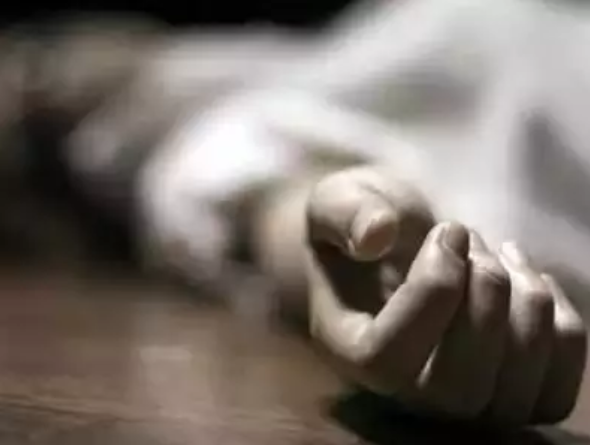 印度_社会|印度两男子因几头猪与三兄弟起争执，被对方开枪打死一人