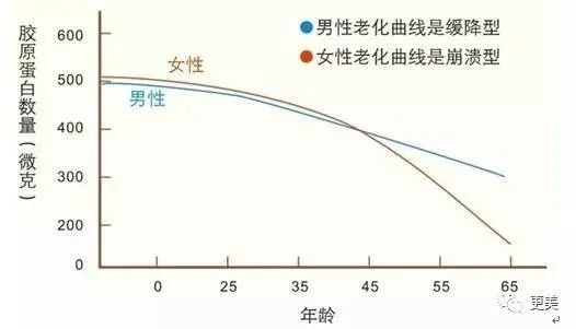迪丽热巴|承认吧，热巴的脸就是不行了！