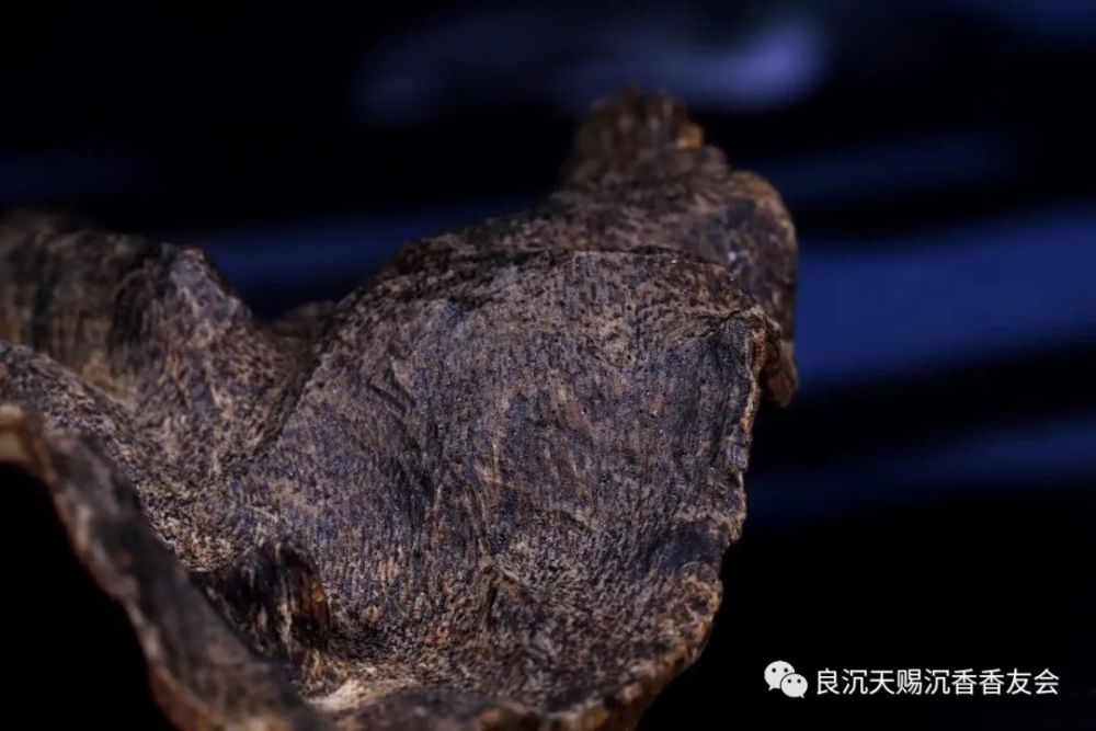 梁辰:品味真沉香是一种无休止的乐趣