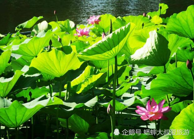 北京|北京有个山水巧妙融为一体的景点，不露人工痕迹，宛若山水画卷！