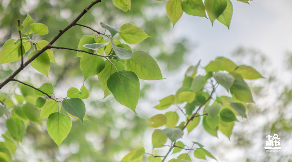 徐公|敢和你说真话的人，值得深交一辈子