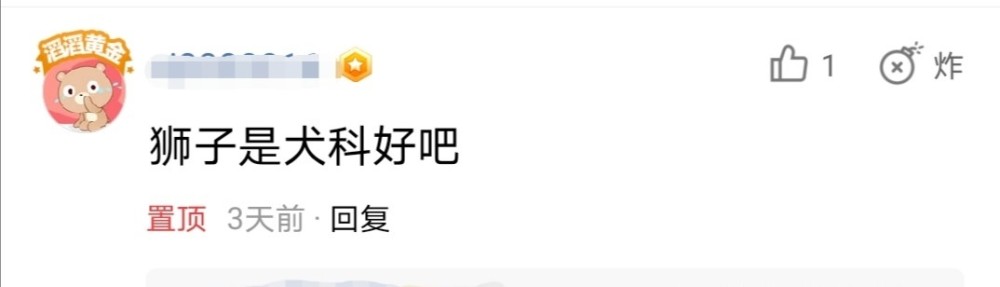 狮子|狮子是犬科动物？明明是正宗猫科，为何狮子被开除“猫籍”？