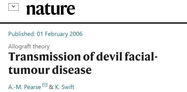 科学家|在这种叫“恶魔”的动物身上，科学家发现了让肿瘤自行消失的秘密