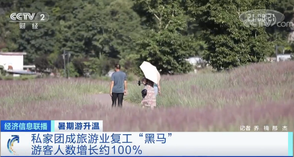 私家团|国内跨省游有了新亮点！散客大团变“非主流”，“私家团”成了“香饽饽”