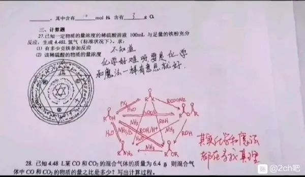没人能承受被 粉红毛毛兔 杀死的耻辱 腾讯新闻