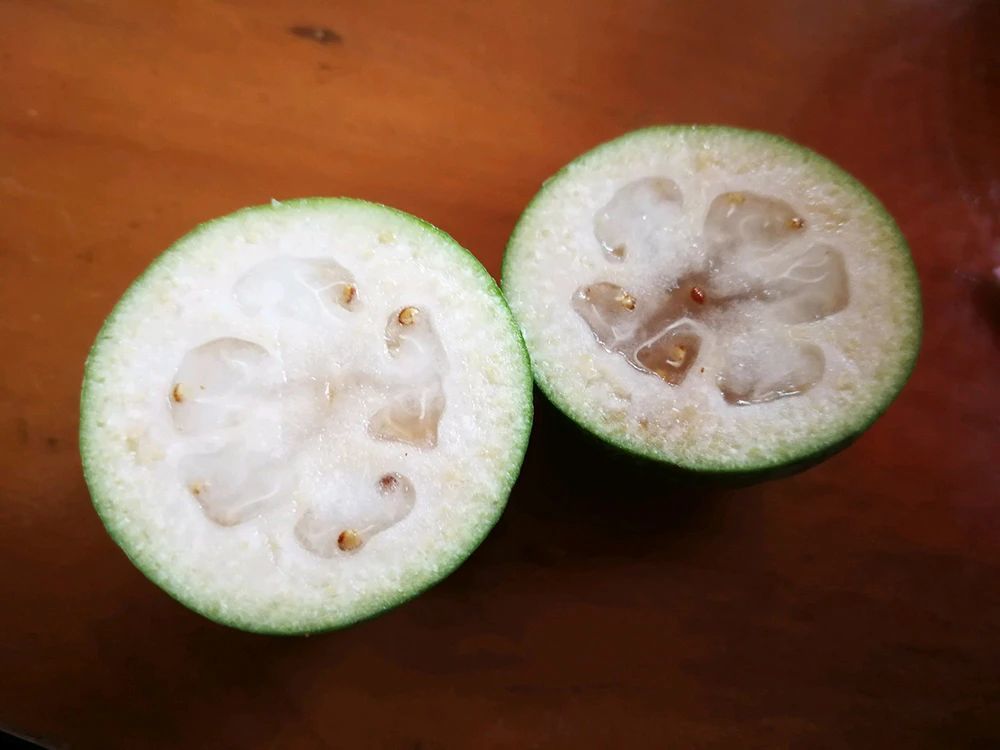 菲油果|长得像牛油果，80元一斤，引入国内不久，会成下个种植热门吗？