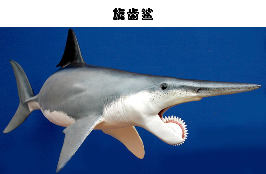 灭绝生物|奇特的灭绝生物：人类或许会庆幸已经灭绝的7个可怕生物