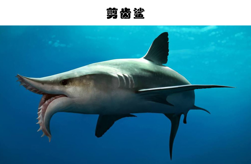 灭绝生物|奇特的灭绝生物：人类或许会庆幸已经灭绝的7个可怕生物